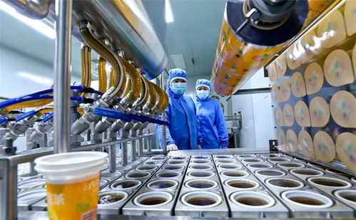 科技賦能小特產(chǎn)升級大產(chǎn)業(yè) 張掖臨澤的數(shù)字化轉(zhuǎn)型之路